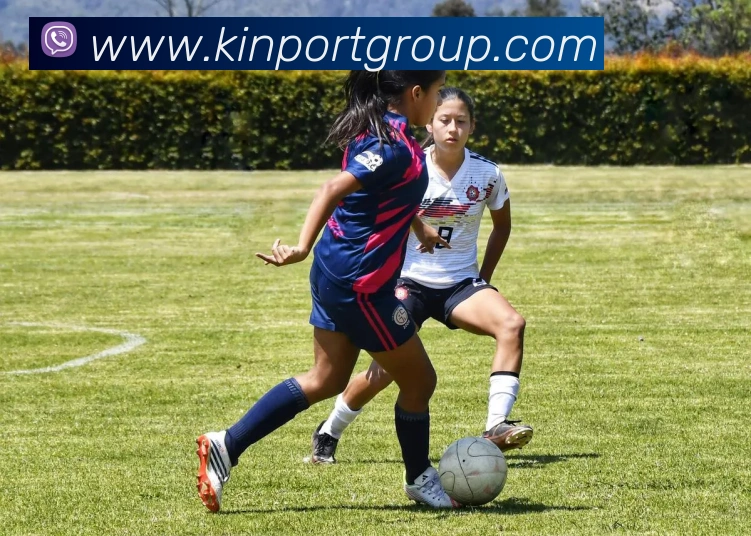 MK体育APP 封面图